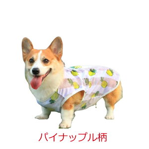 ̕^ĕЂ萶nN[LkČuhgo[S[fgo[