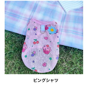 ̕s[XXJ[gĕ蕞^gCv[hČ`}`[Y