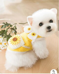 ̕ ^@^AtAHVcAXJ[g@@yAA`@V[YB}`[YA_bNXth@pN@LoA@