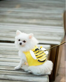 犬用リード　ハーネス　中型犬　小型犬　ハーネスリード付き　蜂柄　胴輪