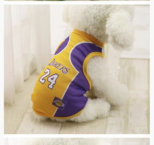 ̕pVctHĕ@傫߃TCY^^^ybg@hbOEGA