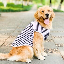 犬服犬の服犬用シャツ生地薄い紫外線対策熱中症対策ひんやり生地春服夏服涼服虫よけ大型犬シャツ大型犬服中型犬洋服ペット服ドッグウエア