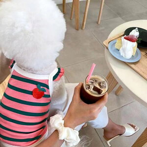 ̕  pi j̎q񏗂̎q񒆌^^̕ ^@^pĕ@VcXJ[gyA`V[Y_bNXthpNLoA