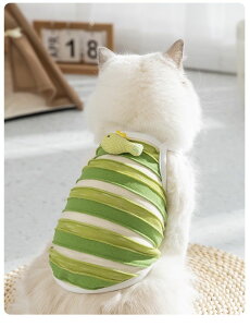 ̕ĕ萶n^^gCv[hČ`}`[YČ