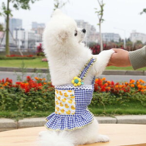 ̕tĕHL~\[^^gCv[h`}`[Y~j`A_bNXČ