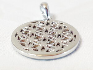 i~rAaYMxI@F̑蕨I覐ΗIIuGem Clnic CentervӕʏؕtNo.42160y_g`F[tiT[WJXeX 316L Vo[jLTCYIт