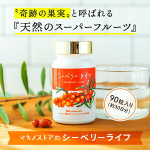 V[x[ ʎ IC Tvg V[x[Ct 90(30) Tv  V[x[GLX TW[ h{f IK7 IK3 IK3n sOab_ r^~A r^~C r^