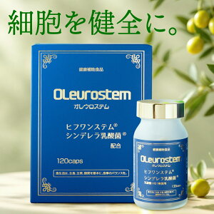 yzVf_ qtXe IEXe(120)y܂Ƃߔōő15%Itz