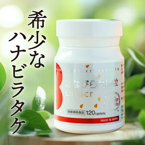 ͂Ȃт炽Tvg LB-Scr 120 nir^P OJ N ͂Ȃт炽 Tv