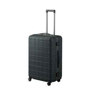 �v���e�J �`�F�b�J�[�t���[�� 00143