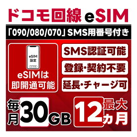 【eSIM版】【SMS認証可】docomo プリペイド eSIM 日本 | 30GB/月 | 最大1年(開通月＋11カ月) | SMS用番号(受信のみ)付 | 即日開通可 | 4G/LTE ドコモ通信網 | データ繰越 / 期間延長可 / チャージ / 残量確認 / 再発行可 | テザリング可能｜契約不要・LINEサポート