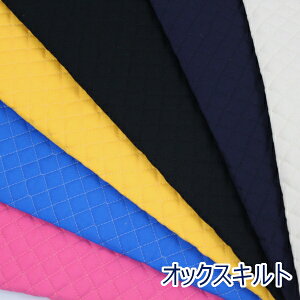 y10cmPʉiz IbNXLg LeBO n  n z 105cm 䂤pPbg0.5mΉ ( nhCh  Vv { 킢 x[VbN obO V[Y | ٖD 