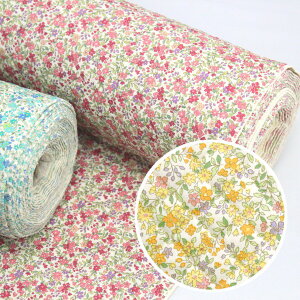 y10cmPʉiz Lgn ԕ Rbg΂₵ LeBO z QKTS2704 105cm 䂤pPbg0.5mΉ