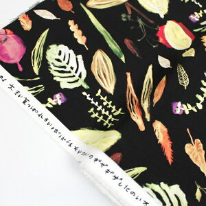 y10cmPʉiz Leaf Paper message RbgV[`O CNWFbg 100 n z Okubo Junko 110cm 䂤pPbg2mΉ (nhCh  킢  m fUCi[ j