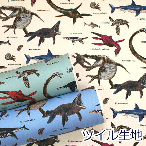 y10cmPʉiz C C̐  _Ci\[ cC Rbg΂₵ 100 n z 110cm KTS7017 䂤pPbg2mΉ ( nhCh  { | ٖD В w Gݏ