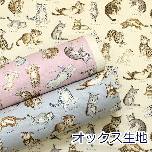 y10cmPʉiz}ӃV[Y }ӃlR ˂ ɂ  KOKKA IbNX 100 n z 110cm YP-61000-1 䂤pPbg2mΉ i nhCh  킢 w obO | ٖD