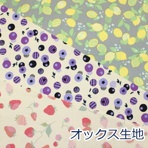 y10cmPʉiz NINA t[c ʕ k IbNX 100 n z 110cm 򃉃CtebNX 142-1365 䂤pPbg2mΉ i nhCh  킢 w obO | ٖD 