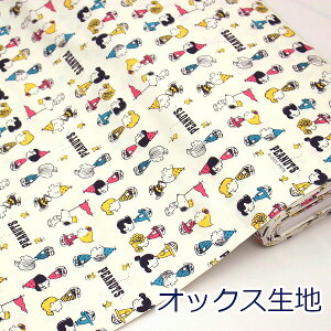 y10cmPʉiz SNOOPY Xk[s[ SNp[h 75N PEANUTS OWO It IbNX 100% n z 110cm 830441 w LN^[ 䂤pPbg2mΉ i nhCh  bXobO 