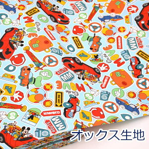 y10cmPʉiz ~bL[tY u[n  fBYj[ IbNX 100 n z 110cm GR-1151 w Vs 䂤pPbg2mΉi nhCh  bXobO V