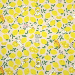 y10cmPʉiz ˂ ɂ  ʕ u[h 100 n z 110cm Rbg΂₵ KTS7121 䂤pPbg2mΉ i nhCh   m s[X XJ[g 