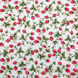 y10cmPʉiz C`S  ԕ  ʕ RbgcC 100 n z 110cm Rbg΂₵ KTS7131 䂤pPbg2mΉ i nhCh   | ٖD 