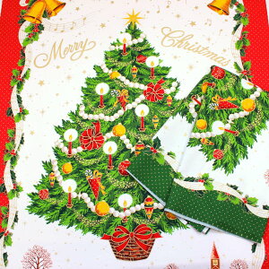 �y�p�l���̔��z �N���X�}�X�c���[ �^�y�X�g���[ ������ �T���^�N���[�X ���~�̖� �I�b�N�X ��100�� ���n �z �c��108cm ����60cm KW1225-3 �䂤�p�P�b�g4���܂őΉ� �i ����� ���{�� �j