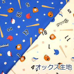 y10cmPʉiz x[X{[X^[ 싅 {[ O[u obg p CɓV[Y IbNX KIYOHARA 100 n z 110cm MOWF-165 w 䂤pPbg2mΉ i nhCh 