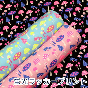 y10cmPʉiz u痿vg LmR }bV[ Mush lumie IbNX 100% n z 110cm OMUSH 䂤pPbg2mΉ i nhCh  킢 x[VbN obO V[Y