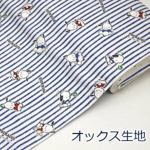 �y10cm�P�ʉ��i�z �|�`���b�R �q�b�R���[ �u���[ PC�q�b�R���[ �T�����I POCHACCO �I�b�N�X ��100�� ���n �z ��110cm�� 835163 �������w �L�����N�^�[ �䂤�p�P�b�g2m�Ή��i �n���h���C�h ���� �o�b