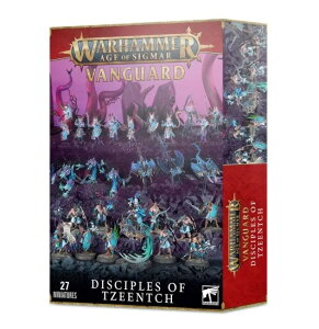 ���������y�E�H�[�n���}�[ AGE OF SIGMAR�z�f�B�T�C�v���E�I���E�e�B�[���`:���@���K�[�h DISCIPLES OF TZEENTCH:VANGUARD 70-03