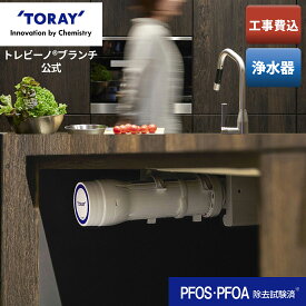 【公式】 東レ トレビーノ ブランチ sk88x-br 工事費込み pfos pfoa 除去 トレビーノ浄水器 toray アンダーシンク キッチンリフォーム 工事費込 水栓 蛇口 本体 家庭用 東レ浄水器 後付け ビルトイン浄水器 水道水 ビルトイン シンク下 キッチン リフォーム 浄水器 skc88 .x