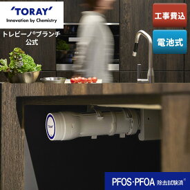 【公式】 東レ トレビーノ ブランチ sk88x-br 工事費込み pfos pfoa 除去 トレビーノ浄水器 toray アンダーシンク キッチンリフォーム工事費込み 水栓 蛇口 後付 家庭用 東レ浄水器 後付け ビルトイン浄水器 水道水 ビルトイン シンク下 キッチン リフォーム 浄水器 skc88 .x