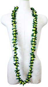 t_Xߑ@C@nCAC@t[C OC@nC@ԏ@Cxg@t@GL-29 JCCiOC@150cm@O[