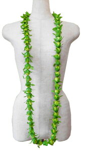 t_Xߑ@C@nC@ԏ@Cxg@t@nCAC@t[C@OC@[j G-RBL@[Yoh[tOC O[