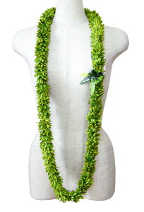 t_Xߑ@C@nCAC@t[C OC@nC@ԏ@Cxg@t@GL-28 O[[Y_uOC