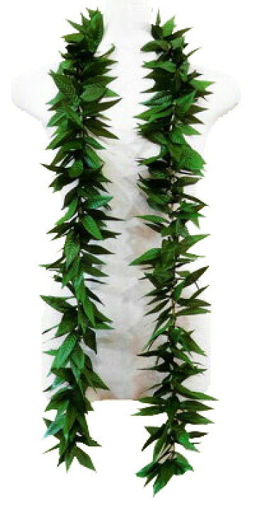 楽天市場 フラダンス衣装 レイ ハワイ 花飾り イベント フラ ハワイアンレイ フラワーレイ ロングレイ Gl 37 マイレラウリイオープンレイ 170cm グリーン 緑 フラダンス トーチジンジャー