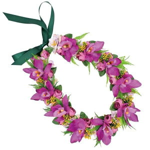 t_Xߑ@C@nCAC@t[C nC@ԏ@Cxg@t@AW C@ KCL-033@OXI[LbhC@p[v