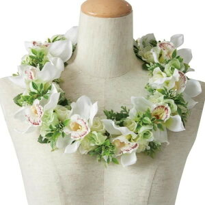 t_Xߑ@C@nCAC@t[C nC@ԏ@Cxg@t@AW C@KCL-035 zCgVrW[C