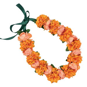 t_Xߑ@C@nCAC@t[C nC@ԏ@Cxg@t@AW C@ KCL-020 iLX&_ACiIWj