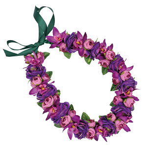 t_Xߑ@C@nCAC@t[C nC@ԏ@Cxg@t@AW C@ KCL-025 [Y~jVrW[Cip[vj