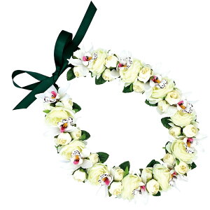 t_Xߑ@C@nCAC@t[C nC@ԏ@Cxg@t@AW C@KCL-026 [Y~jVrW[CizCgj