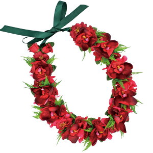 t_Xߑ@C@nCAC@t[C nC@ԏ@Cxg@t@AW C@KCL-037 ~jVrW[Cibhj