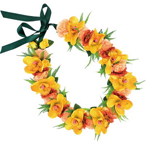 t_Xߑ@C@nCAC@t[C nC@ԏ@Cxg@t@AW C@KCL-039 ~jVrW[CiCG[j