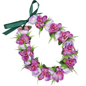 t_Xߑ@C@nCAC@t[C nC@ԏ@Cxg@t@AW C@KCL-040 ~jVrW[Cip[vj