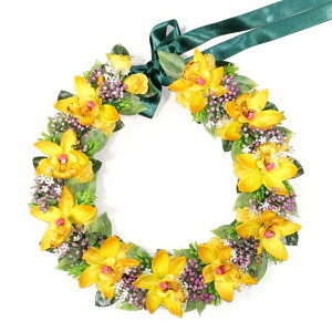 t_Xߑ@C@nCAC@t[C nC@ԏ@Cxg@t@AW C@ KCL-016@~jVrW[C(CG[)@