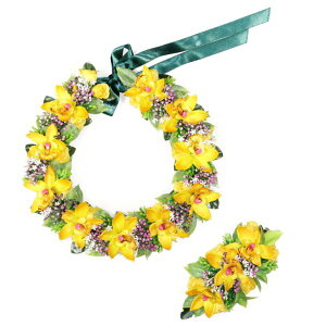 t_Xߑ@C@nCAC@t[C nC@ԏ@Cxg@t@KCLS-016@~jVrW[C&Nbv(CG[)Zbg@