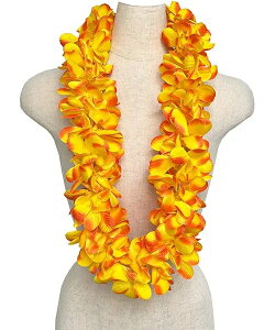 t_Xߑ@C@nCAC@t[C nC@ԏ@Cxg@t@OR-19@JvA_uC@S[fIW