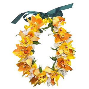 t_Xߑ@C@nCAC@t[C nC@ԏ@Cxg@t@AW C@ ZL-001 NC^vVrW[@IW@zCg