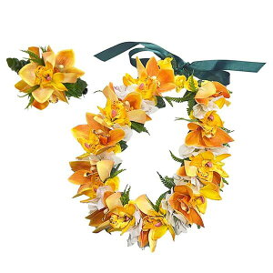 t_Xߑ@C@nC@ԏ@Cxg@Nbv@t nCAC@t[C@C@AW C{VrW[4փNbvZbg@ ZSET-001 NC^vVr