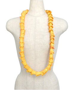 t_Xߑ@C@nCAC nC@ԏ@Cxg@YL-18@nC@CG[@@|E^f